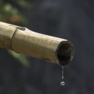 Drop